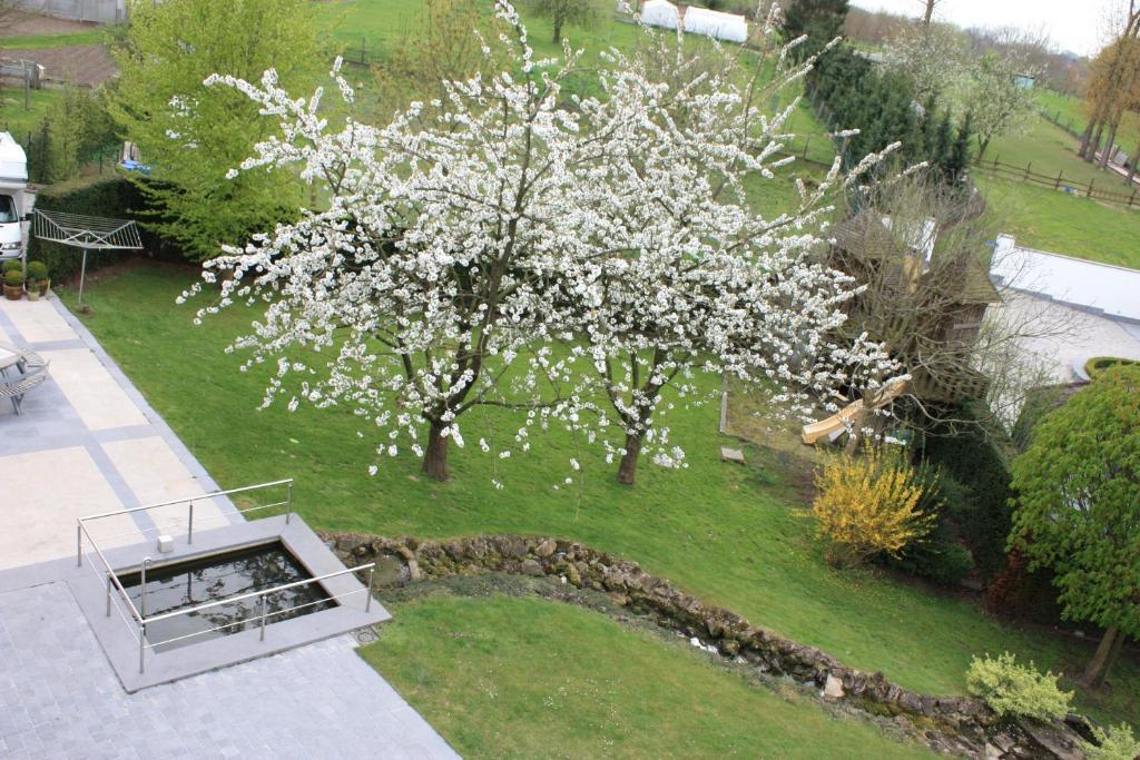 Hotel Gasthof Kapelhof Erpe-Mere Εξωτερικό φωτογραφία
